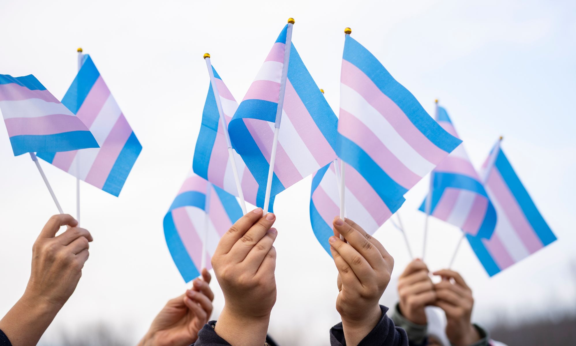 Boston: evento di Orgoglio mestruale inclusivo per persone trans si sposta dopo l'opposizione di destra