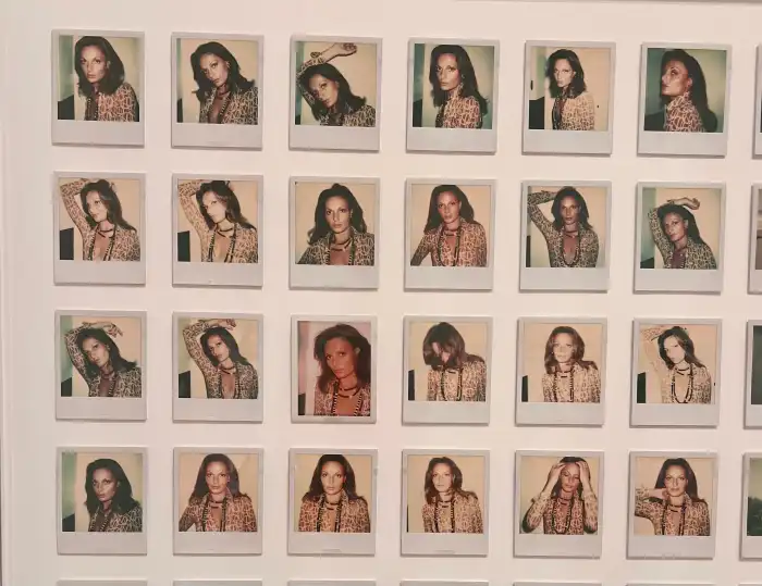 Diane von Furstenberg in multiple, 1973. 