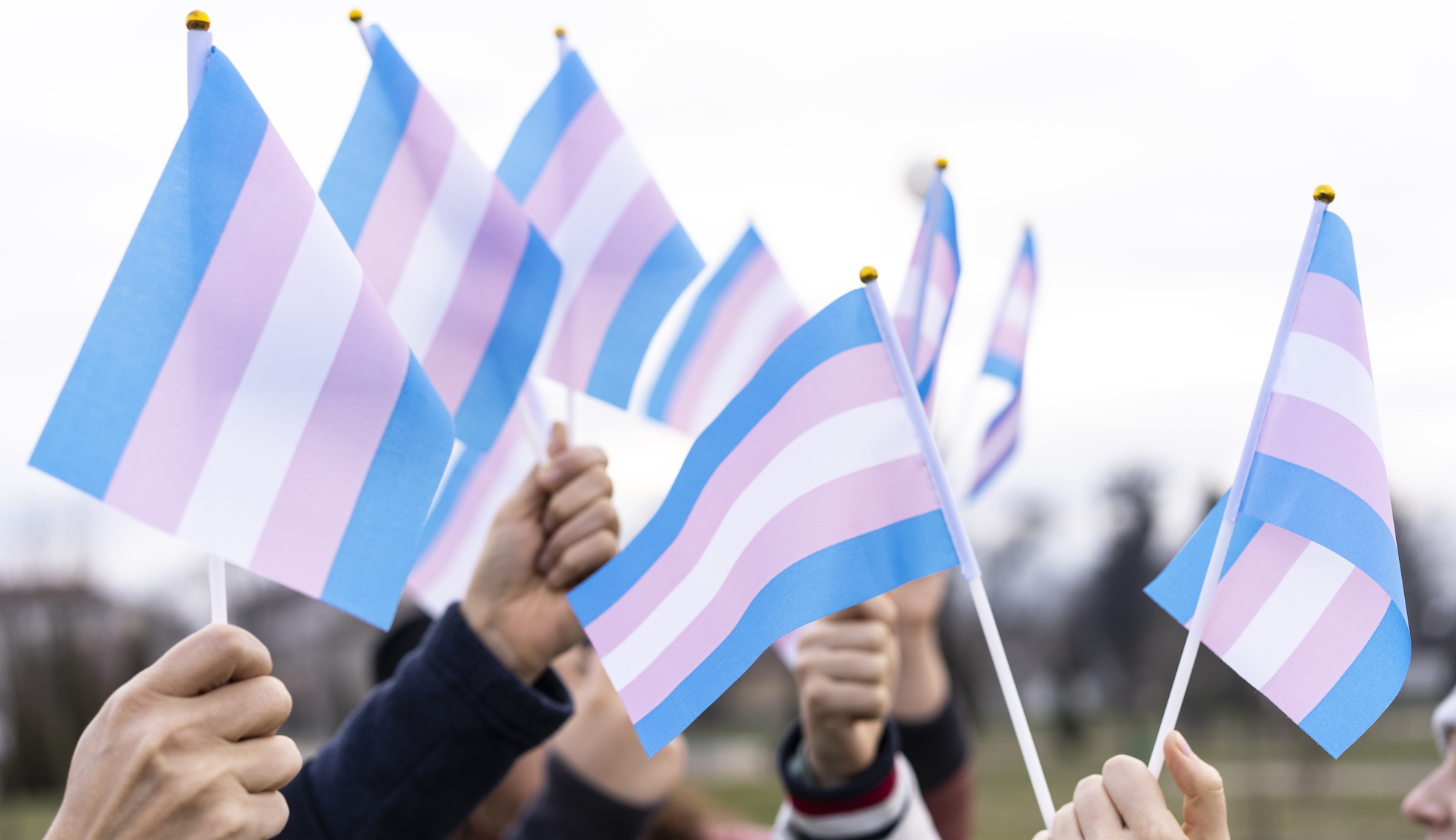 People holding transgender flags